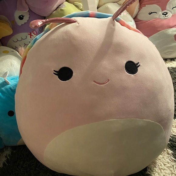 Squishmallows Other - Squishmallows